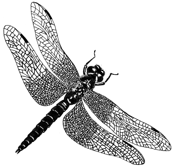 Dr. Muster – Ordination